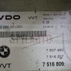 Centralita Ecu Bmw 116 412265001001 412265001/001 7507493 7516207